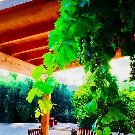 La Casa Del Melograno مارسالا
