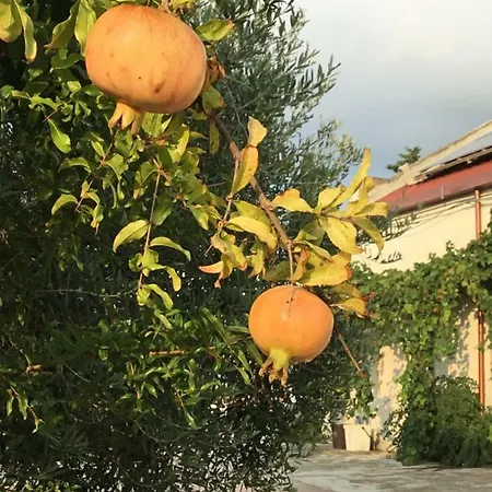 بيت للعطل La Casa Del Melograno