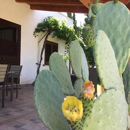 La Casa Del Melograno