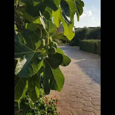 La Casa Del Melograno