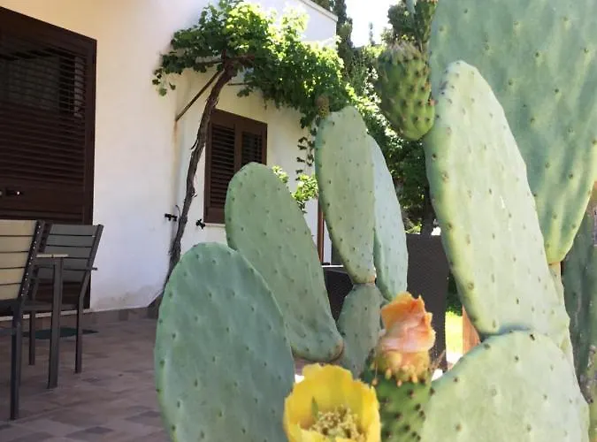 La Casa Del Melograno