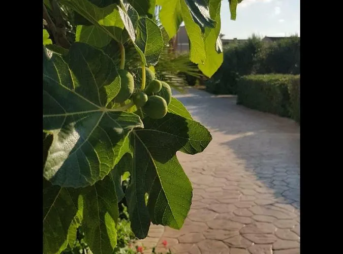 La Casa Del Melograno