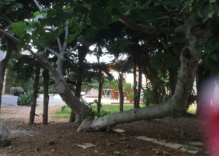 La Casa Del Melograno בית נופש *