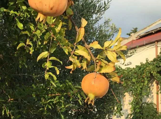 בית נופש La Casa Del Melograno